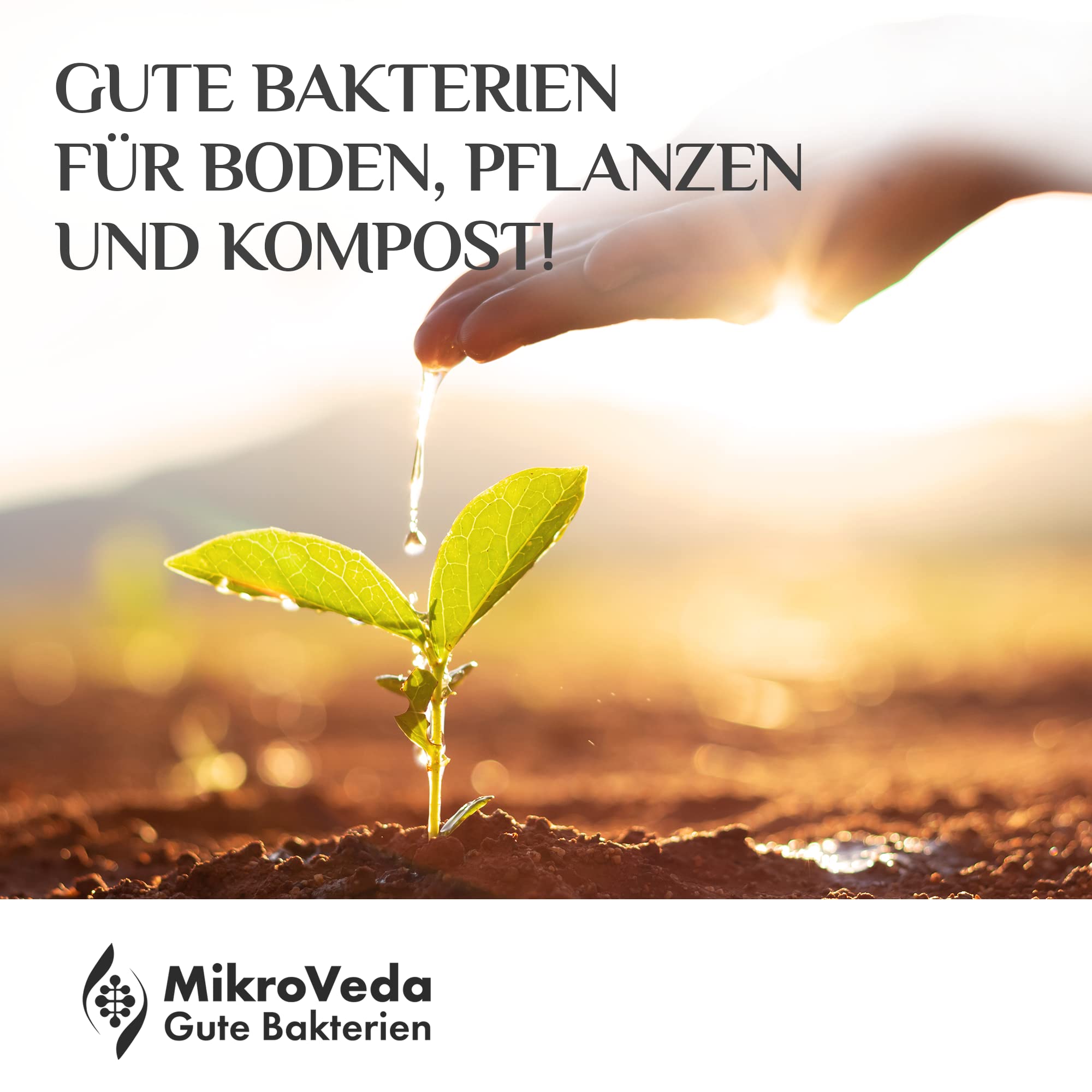 MikroVeda Terra - Activador de Suelo Biológico Con Bacterias y Microorganismos Efectivos - Suplemento Para Compost, Jardín - Abono Orgánico Vegano 100% Natural (1 L)