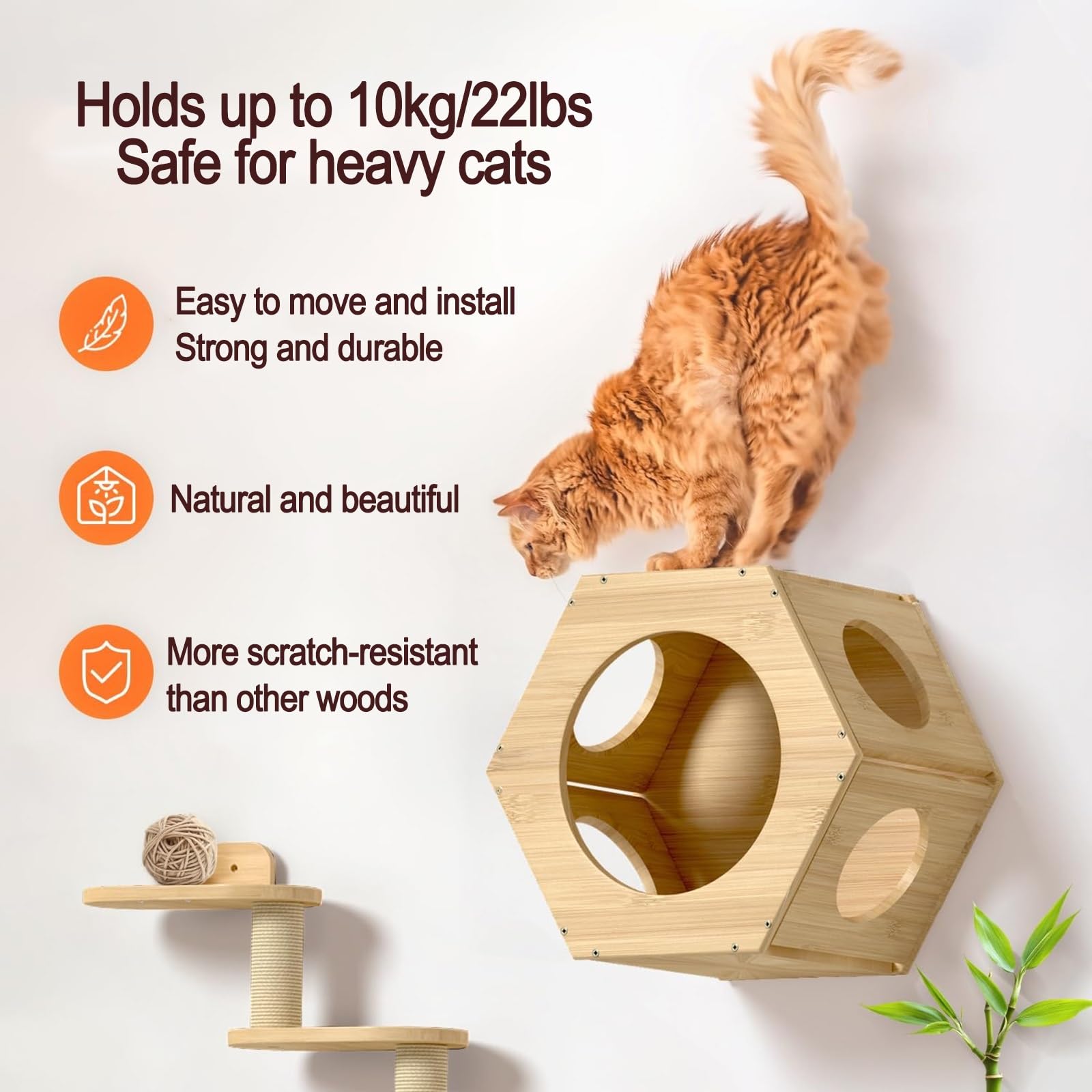 Amaca per Gatti, Tiragraffi Gatto, Mobili da Parete in Legno di Pino per Gatti, Mobili da Parete per Risparmiare Spazio, Regalo per Micio di Taglia Media/Piccola(4pcs)