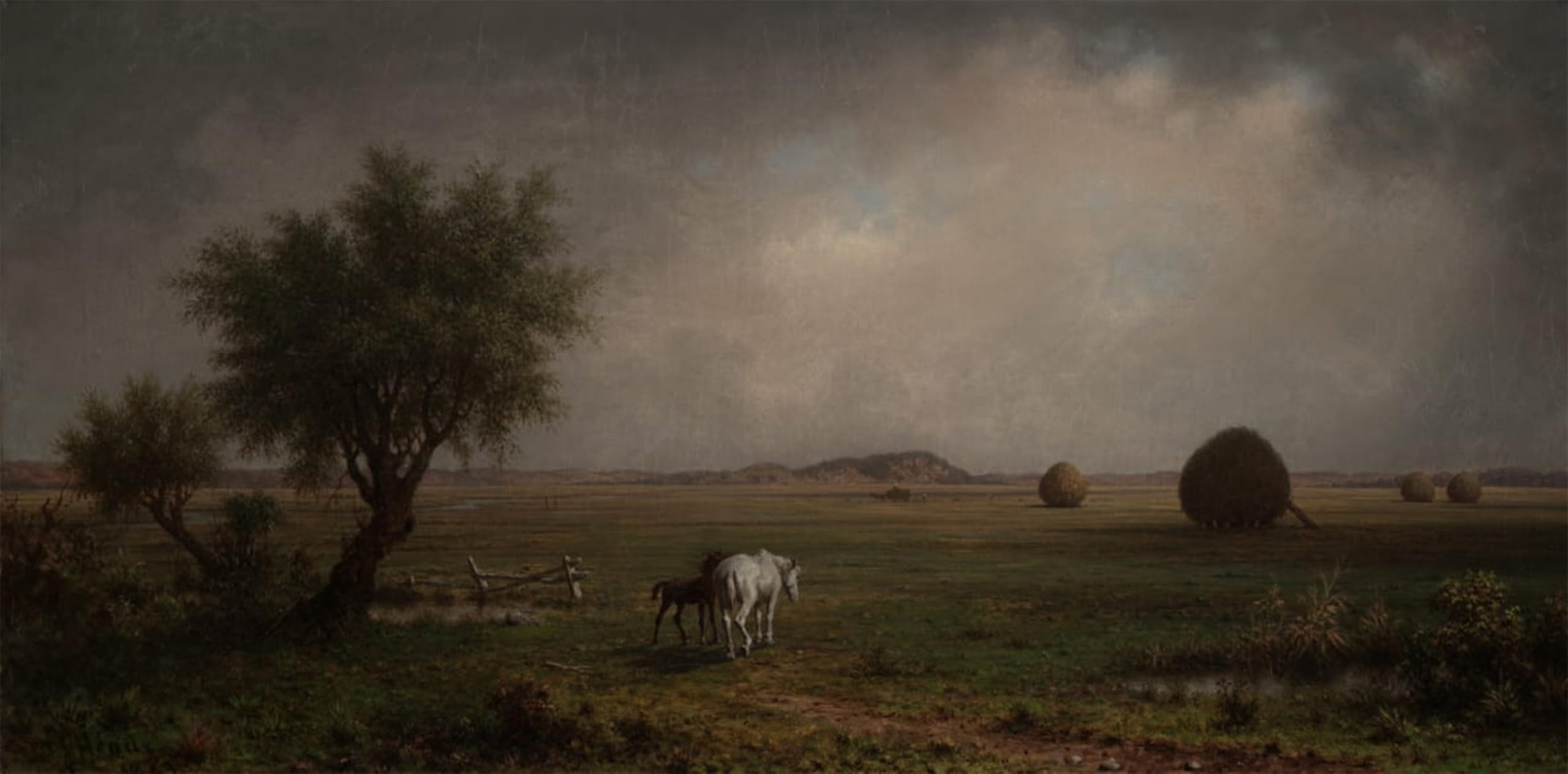 ARTXLXXBN Famous Painting Art Wall Decor Abstract Art Picture Mare and Colt in a Marsh by Martins Johnson Heade Animal Pictures for Home Decor 60x90cm