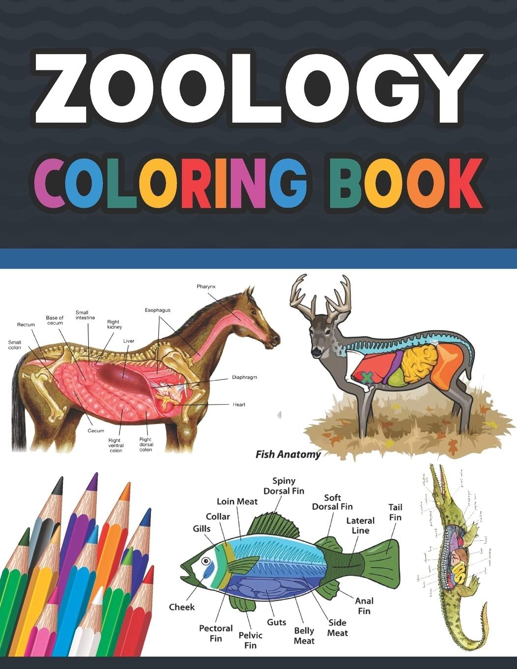 Zoology Coloring Book: Incredibly Detailed Self-Test Zoology Coloring Boo