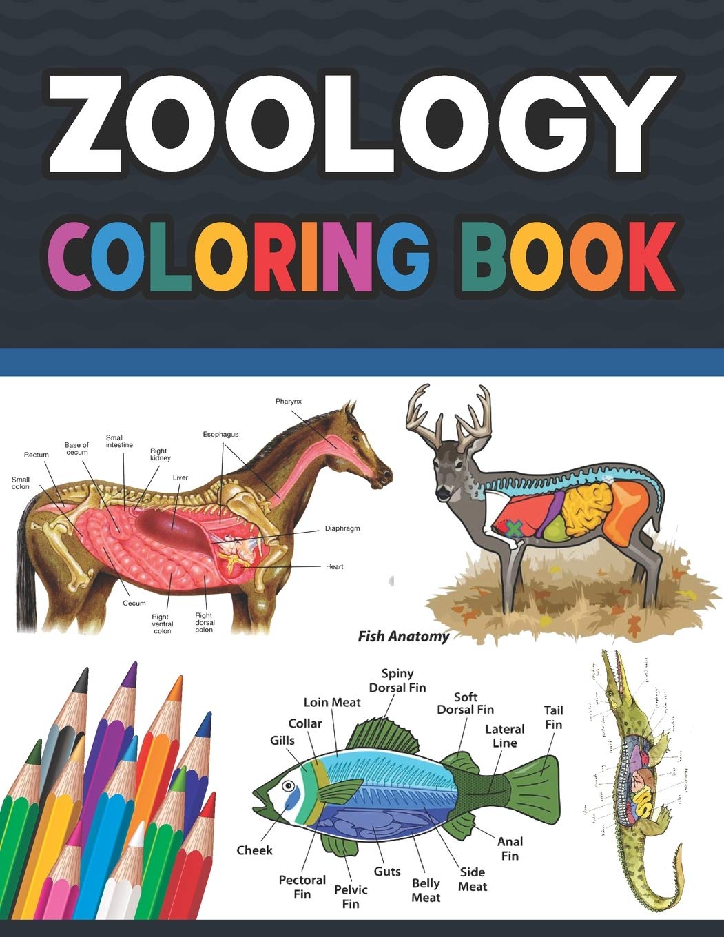 Zoology Coloring Book: Incredibly Detailed Self-Test Zoology Coloring Boo