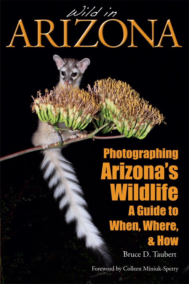Wild in Arizona: Photographing Arizona's Wildlife, A Guide to When, Where, and How