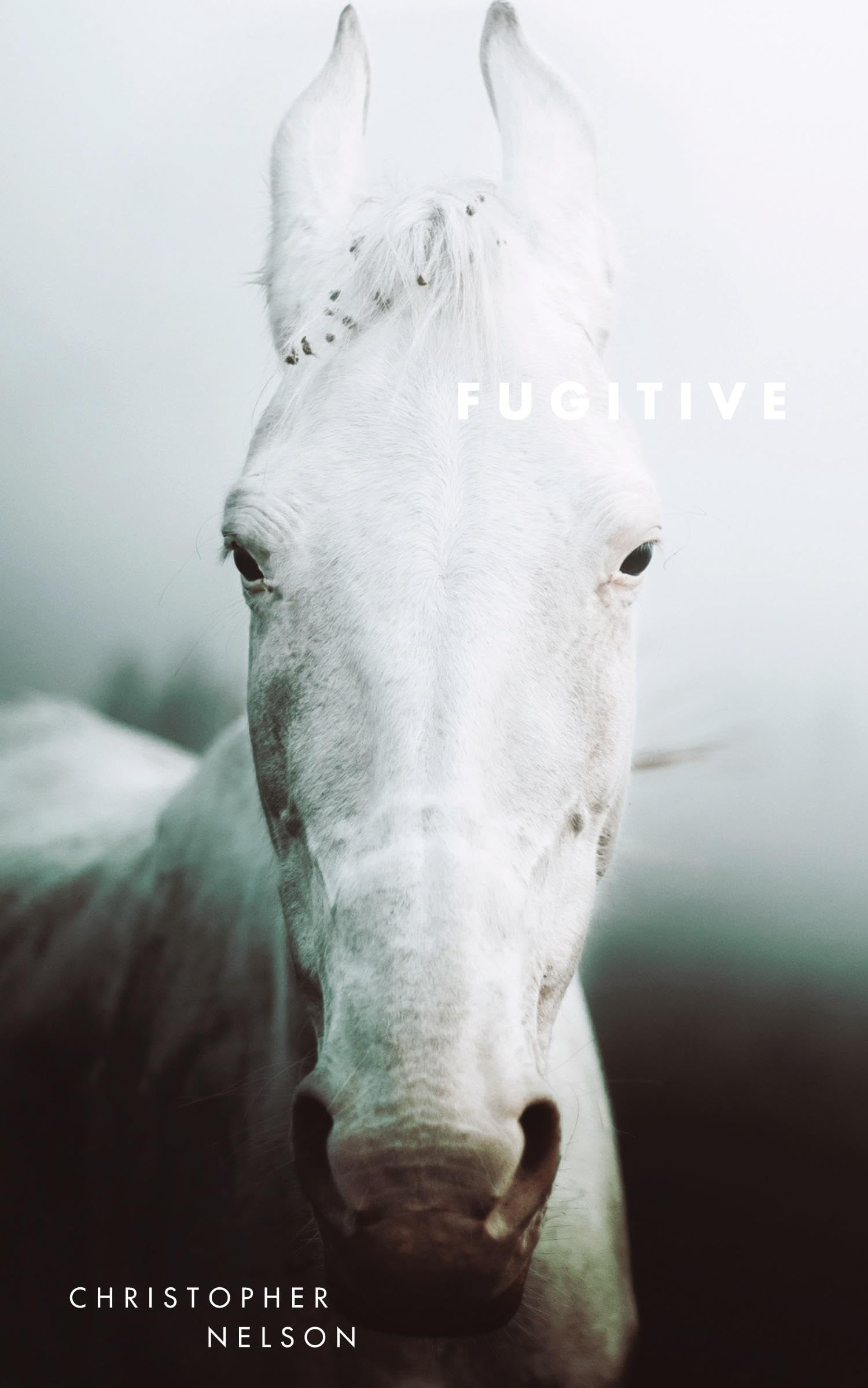 Fugitive