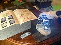 Review Image by Cheerio Cheerio