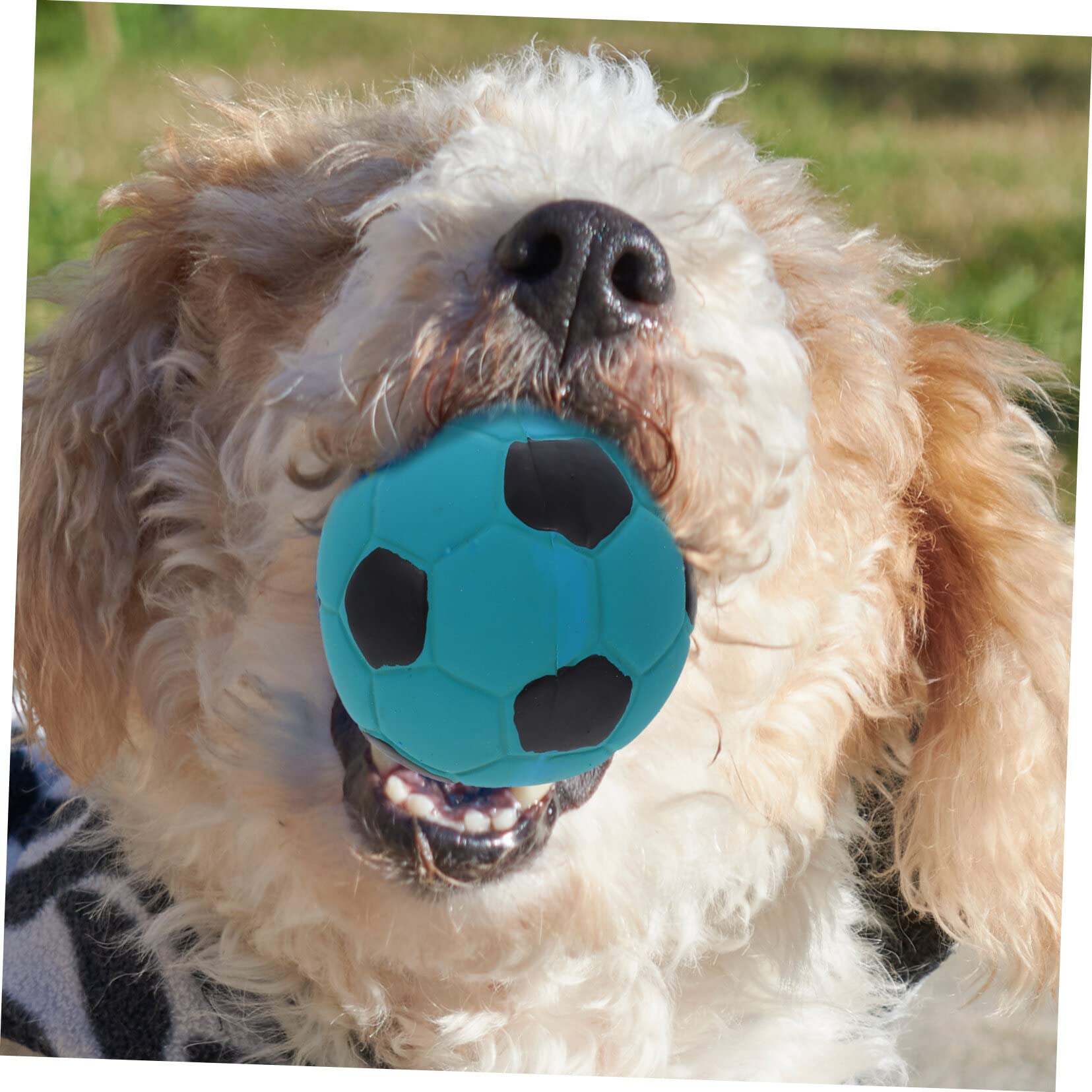 Mipcase 12stücke Interaktive Spielzeuge Für Hunde Weiche Molar-funktionale Fußball-kauspielzeuge Quietscher Für Welpen Und Aktive Spielzeiten