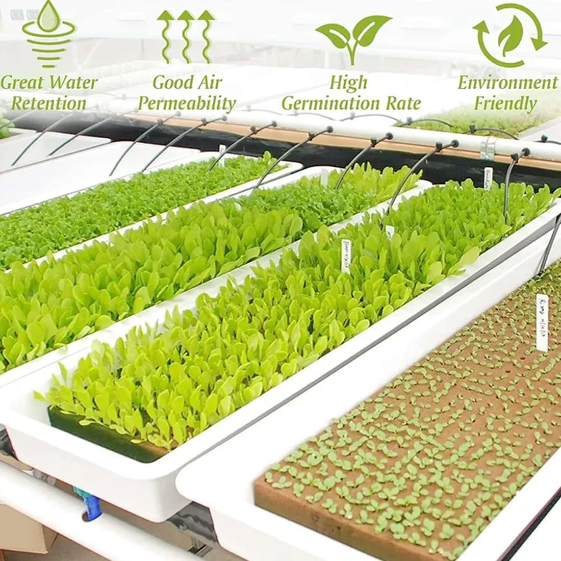 GXGM 50 Piezas Cubos de Lana de Roca, Cubos De Cultivo Hidropónicos, Jardín Cubos De Cultivo Hidropónicos para Siembra, Plantación, Hidropónica, 2.5 x 2.5 x 2.5 cm