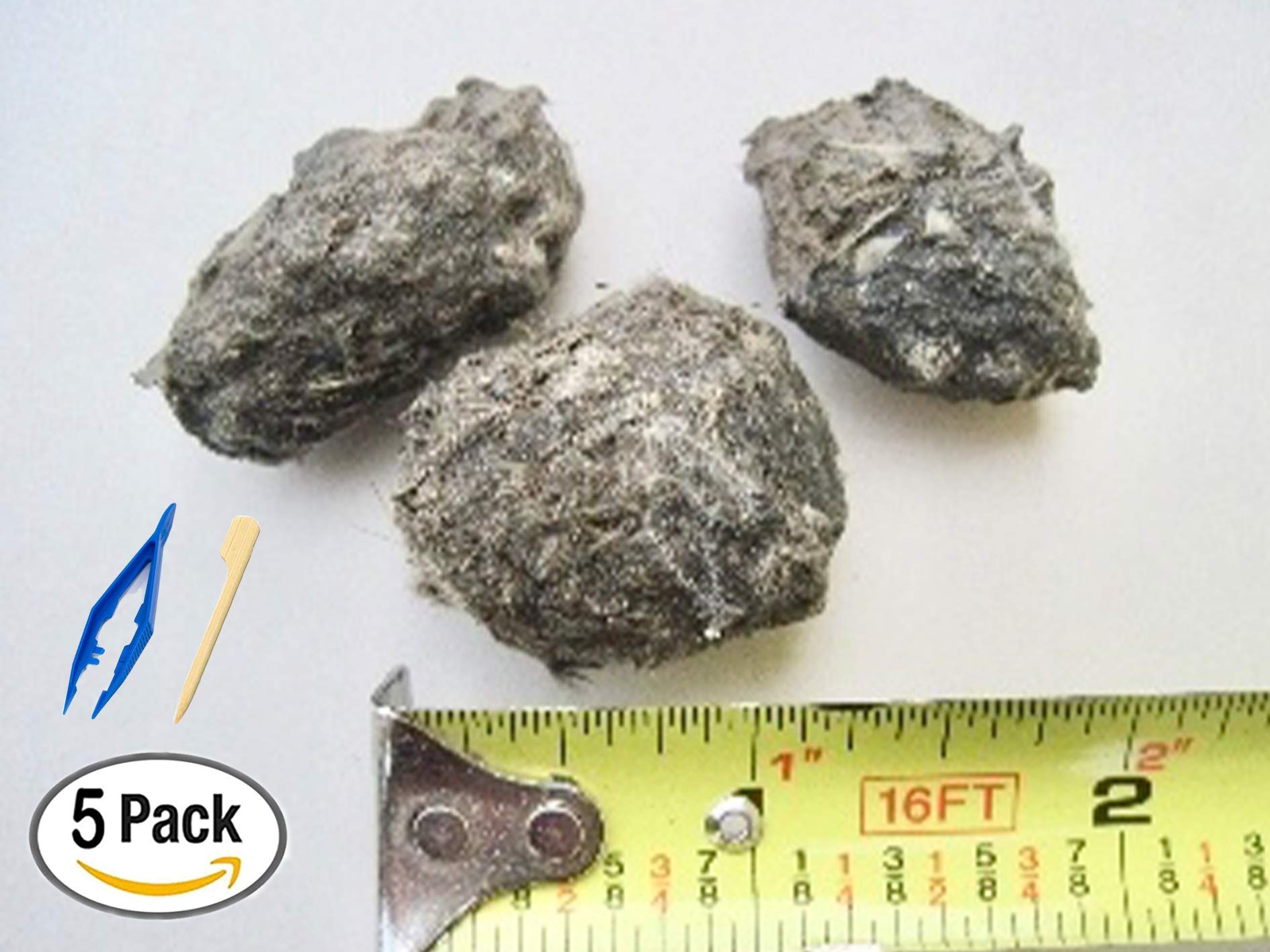 Premium Barn Owl Pellets, Small: 1.25