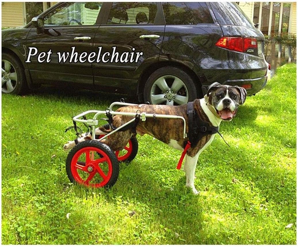 allarme sedia per cani