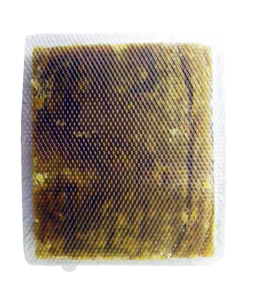 Natco - Jaggery Goor (Kolhapuri non raffiné) - Panela - 1 kg x 2
