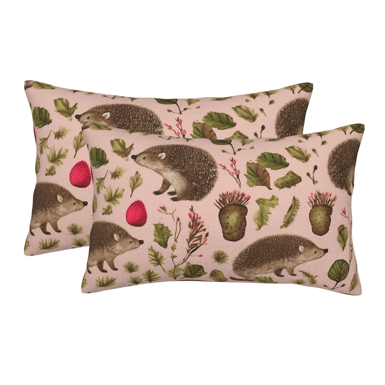 2 Pack Standard Size Pillow Cases for Hair and Skin Soft Breathable Pillow Case Covers with Hidden Zipper Hedgehog Print Pillowcase 20"x30" Pillow Cover for Sleeping Gift