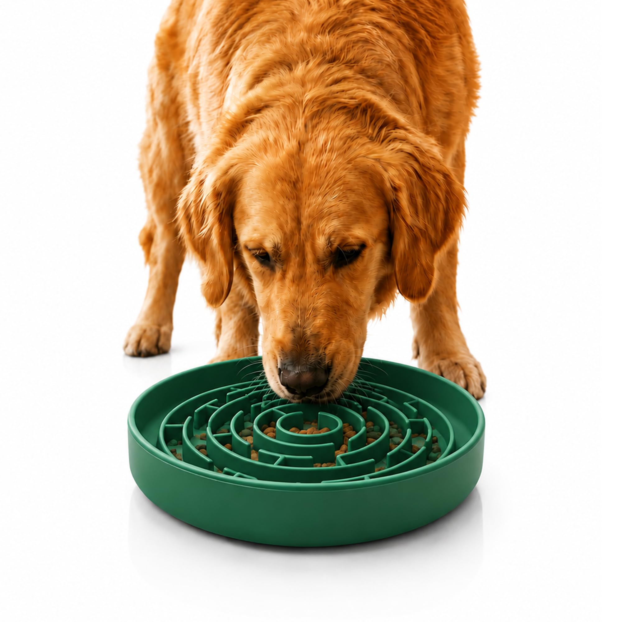 PAWSWARE Slow Feeder Bowl for Dogs and Cats, 20cm- Green