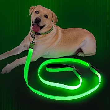 LED Light Up Dog Leash, Rechargeable Glow Leash, Green, 6 Ft | USB rechargeable, 6 lighting modes, waterproof nylon, fits S/M/L, non tangling, night safety for walks