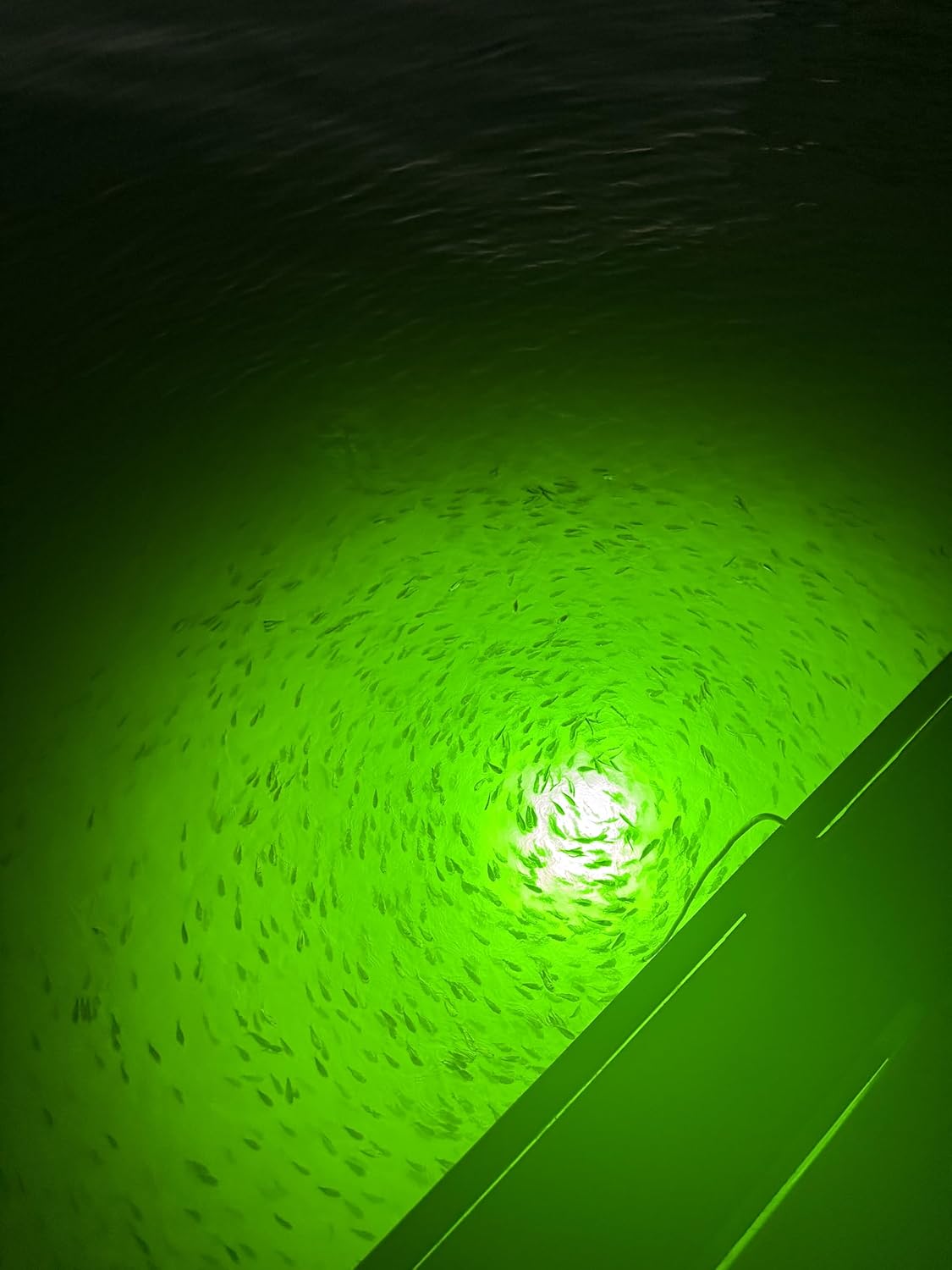 12 Volt Green LED Drop Light for Kayak Fishing, Submersible Underwater Light with 15 ft Power Cord, Portable Fishing Light