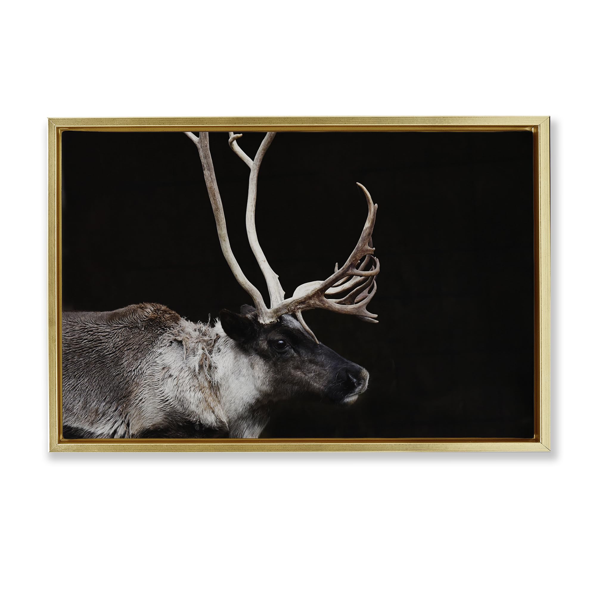Stupell Industries 'Dark Reindeer at Night', Floating Frame Canvas Art, Gold, 31 x 21 Inches, Easy to Hang and Sturdy, Made in USA, by Amy Carroll