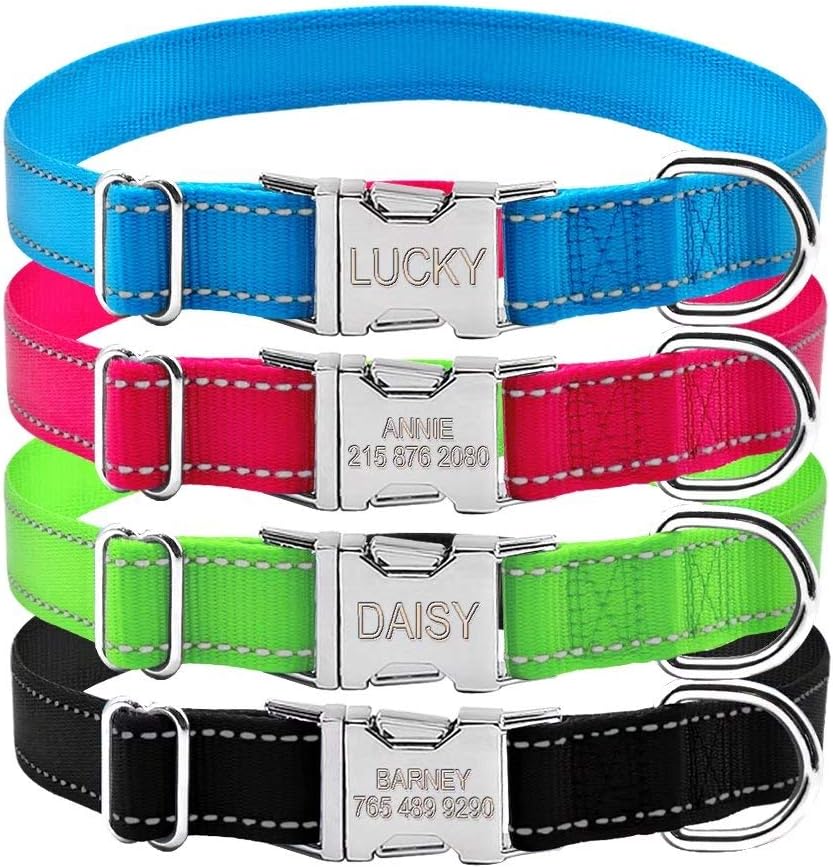 Engraved buckle dog collar uk Clearance