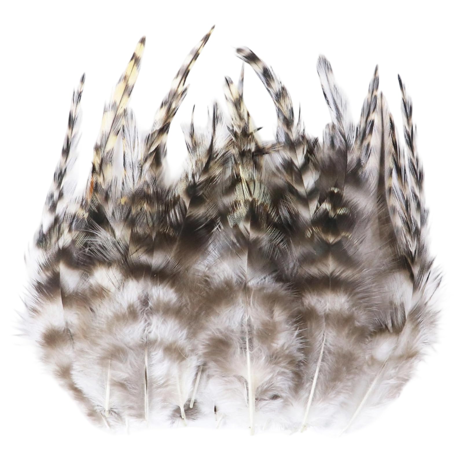 Qusinfc 100Pcs Dyed Pheasant Plumage for Fashion Design and Creative Decoration Partridge Quills