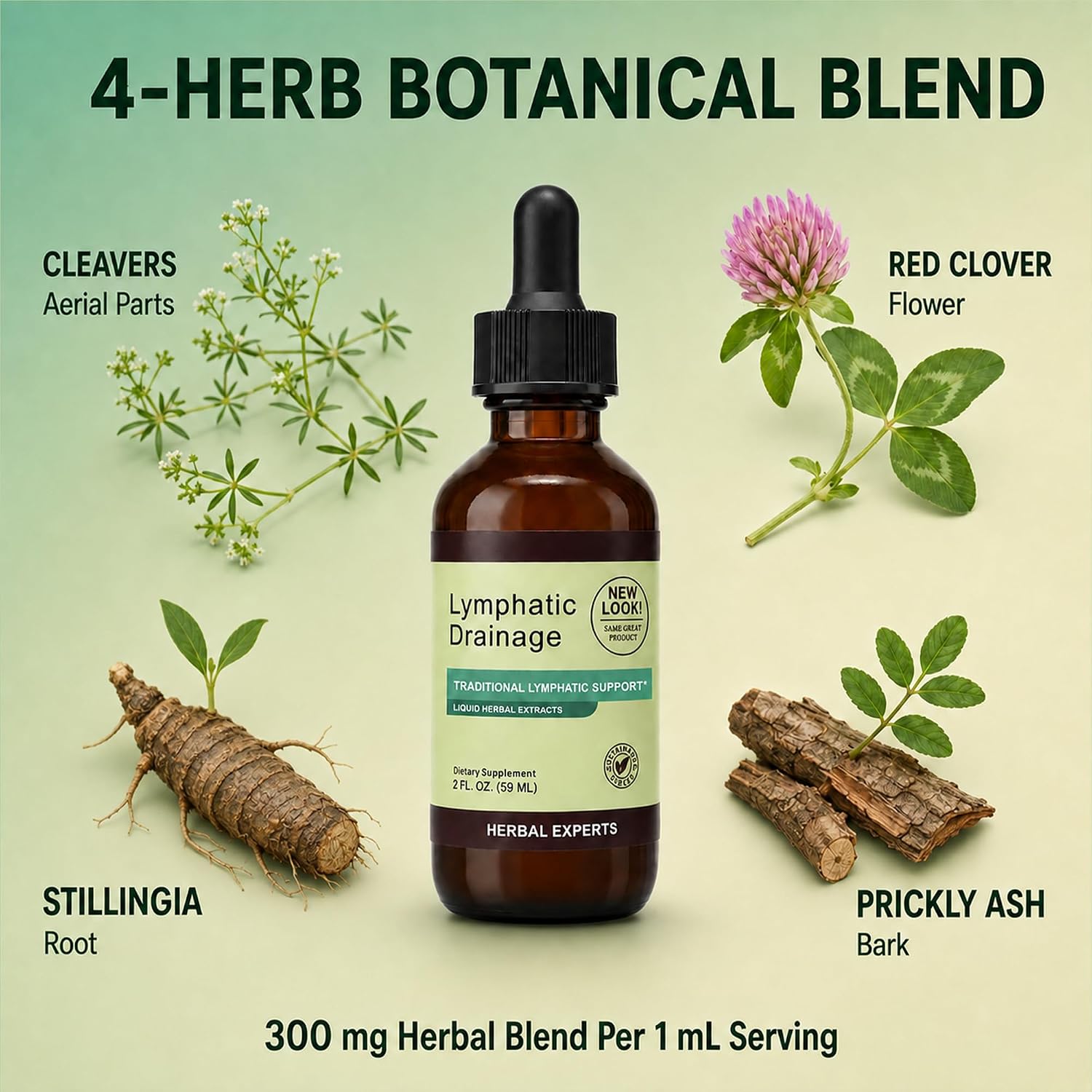 FOODSAVER Lymphatic Drainage Drops, Cleavers & Red Clover, 2 Fl Oz, 1 Pack