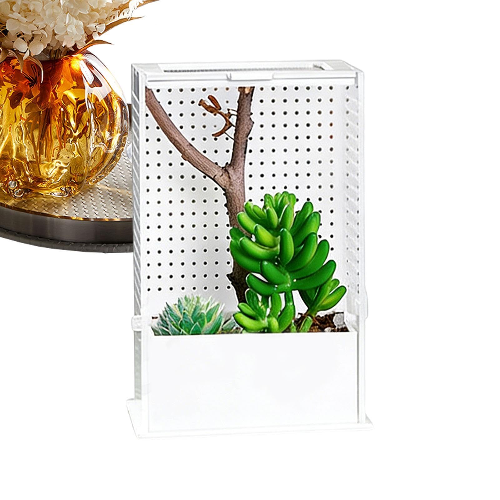 Gabbia Mantide Religiosa 20 Cm - Habitat Acrilico - Box Trasparente Rettili Per Nidificazione Allevamento Alimentazione Osservazione - Piccoli Insetti Animali Da Compagnia Hobbistica
