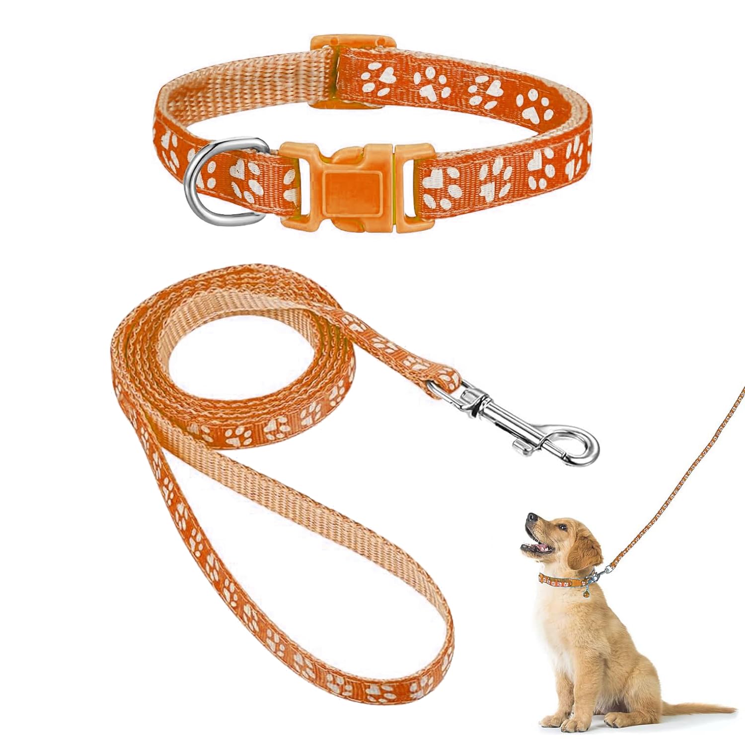 Conjunto de Collar Y Correa para Perros, Collar de Cachorro, Collar con Correa para Mascotas, Collar con Correa para Perros Pequeños Y Medianos, Collar con Correa para Gatos