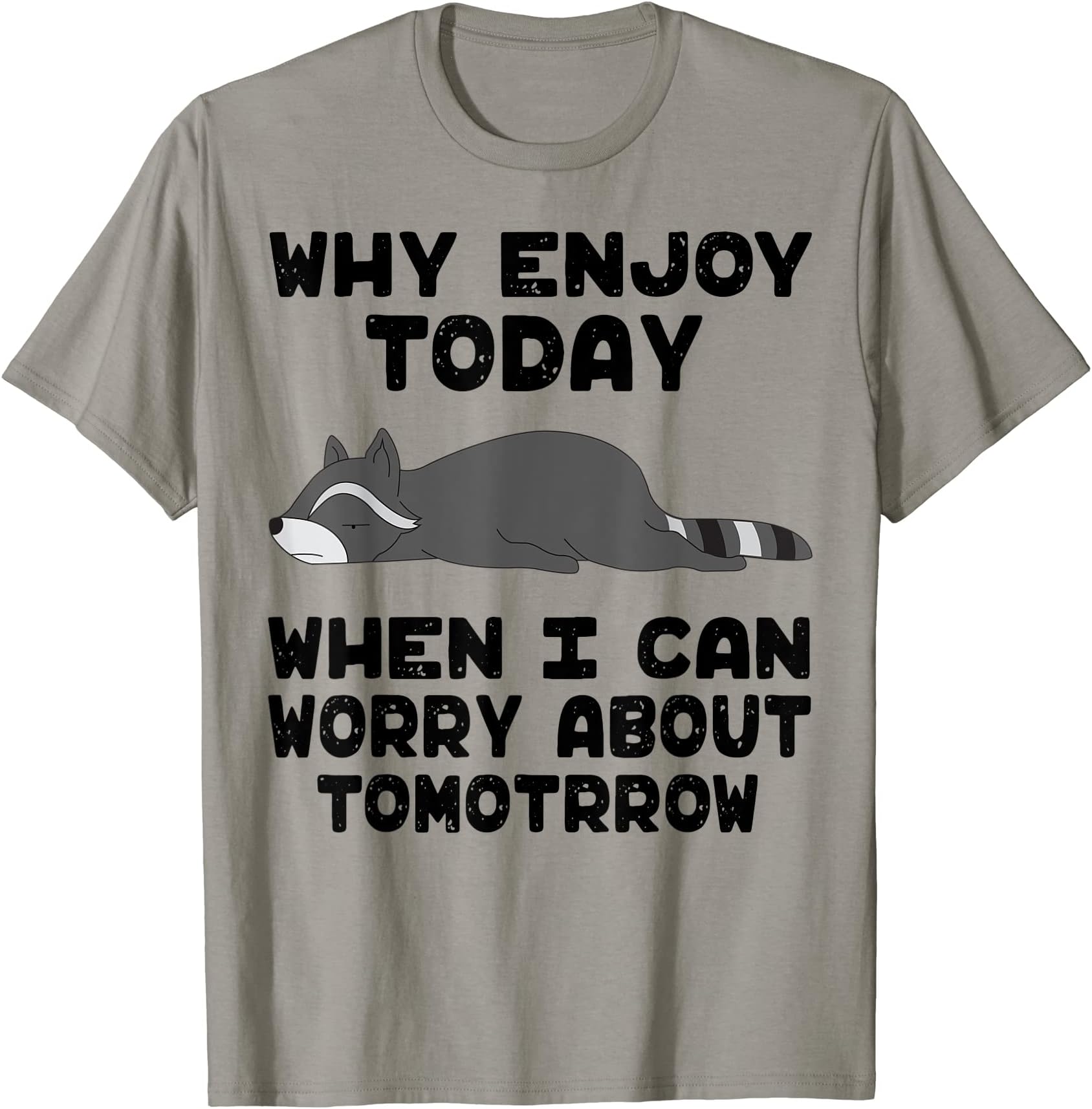 Funny Racoon Why Enjoyin Today When Can Worry About Tomorrow T-Shirt