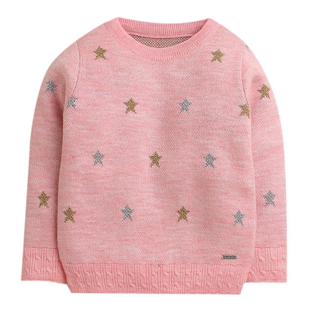 Hopscotch Girls Acrylic Round Neck Sweaters