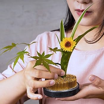 アクセサリー plants@painter Amazon.com: Ikebana Stem Holder, 3 Pieces Flower Frog Kenzan