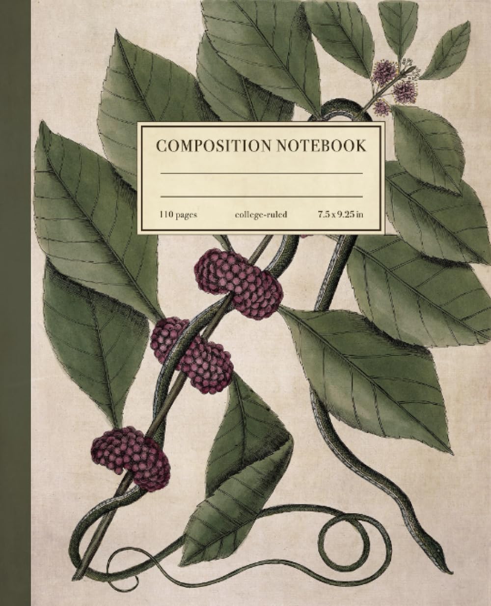 Composition Notebook College Ruled: Vintage Illustration of Bluish Green Snake | Aesthetic Zoology Enthusiast's Journal | Ideal for School, College, ... | Wide Lined | 110 Pages | Size: 7.5" x 9.25"