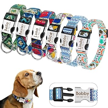 Didog Custom Dog Collars with Engraving Quick Release Buckle, Personalized Dog Collar with Fashion Patterns Fit Small Medium Large Dogs