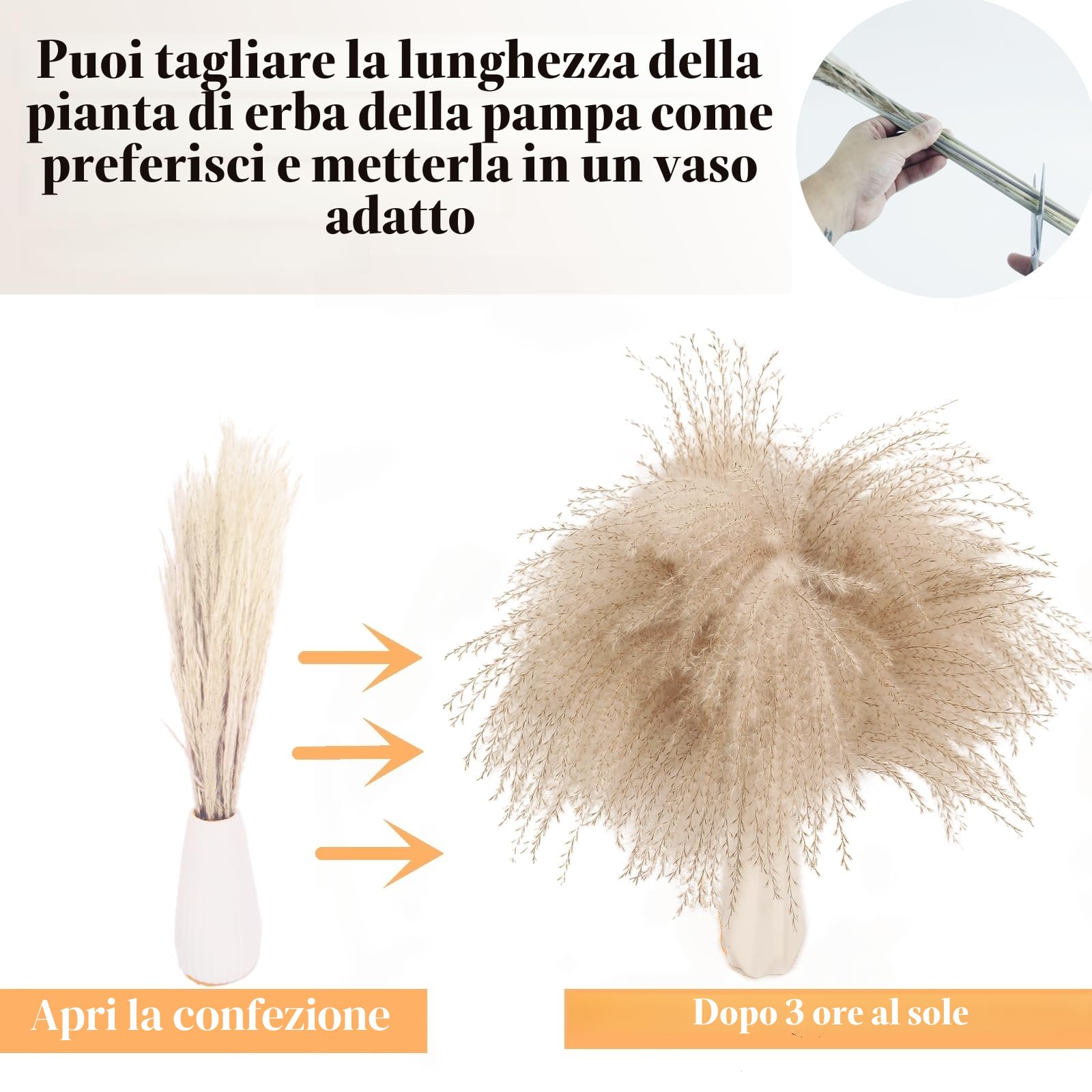 Bouquet di erba di pampas essiccata 120 pezzi fiori secchi decorazione matrimonio boho tavola