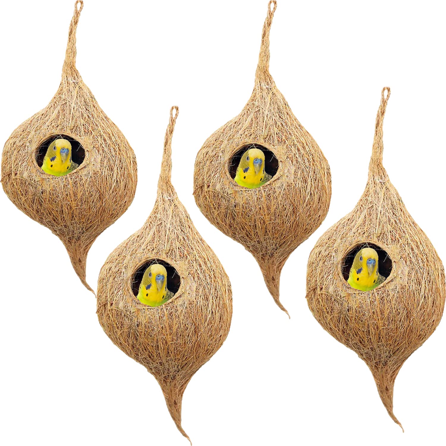 LIVEONCE Natural Bird nest for Cages and breeding for All Medium,Small Birds with self adheshive Hanging Hooks Pack of 4 (B0BTBVHJG4) Amazon Price History, Amazon Price Tracker