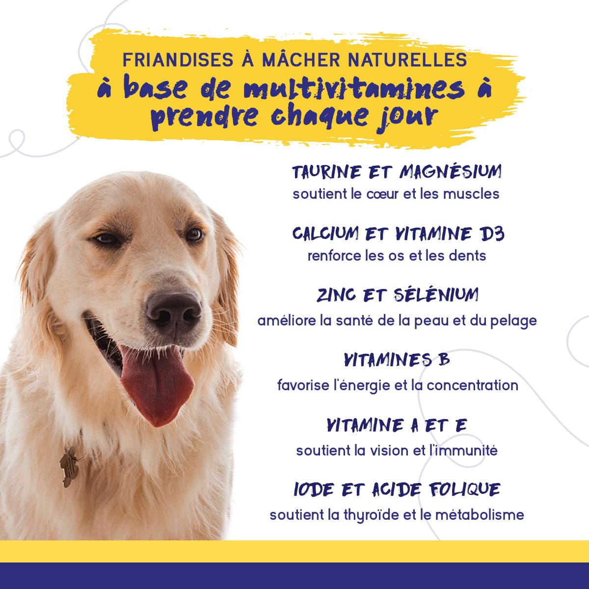 PupGrade Multivitamine Quotidienne pour Chiens – Supplément Tout-en-Un – Soutient Digestion, Immunité, Peau & Pelage – Vitamines B, Taurine, Calcium, Zinc, Vitamines A, D, E – 30 Friandises Molles