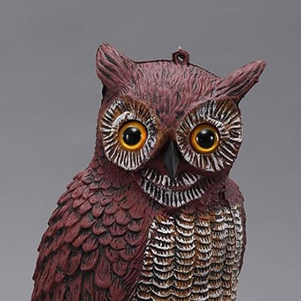 Trendy Retail ReTrendy Retail istic Owl Hunting Decoy Ornament Statues Bird Repellent Garden Protector (60037264Trendy Retail )