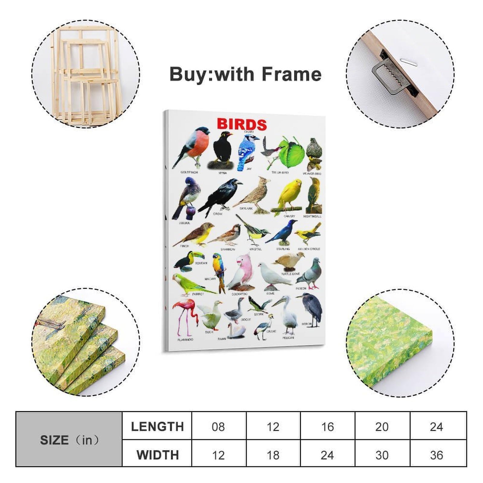 OKNGB Kinder-Zoologie-Pädagogisches Poster, Vogelführer-Poster, dekorative Malerei, Leinwand, Wandposter und Kunstdruck, moderne Familienschlafzimmer-Dekoration, Poster, 50 x 75 cm