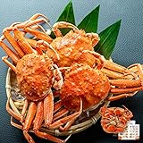 【予約★11月上旬発送】【ボイル】セイコガニ 5杯 未冷凍 福井 鳥取 兵庫 日本海産 国産 蟹 産地直送 ズワイガニ メス 越前 松葉 せいこがに セコガニ 香箱蟹 コッペガニ 親ガニ seikogani-5