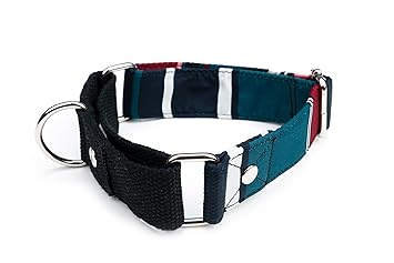 Dog-O-Bow Dark Stripe Martingale Collar ( Medium )