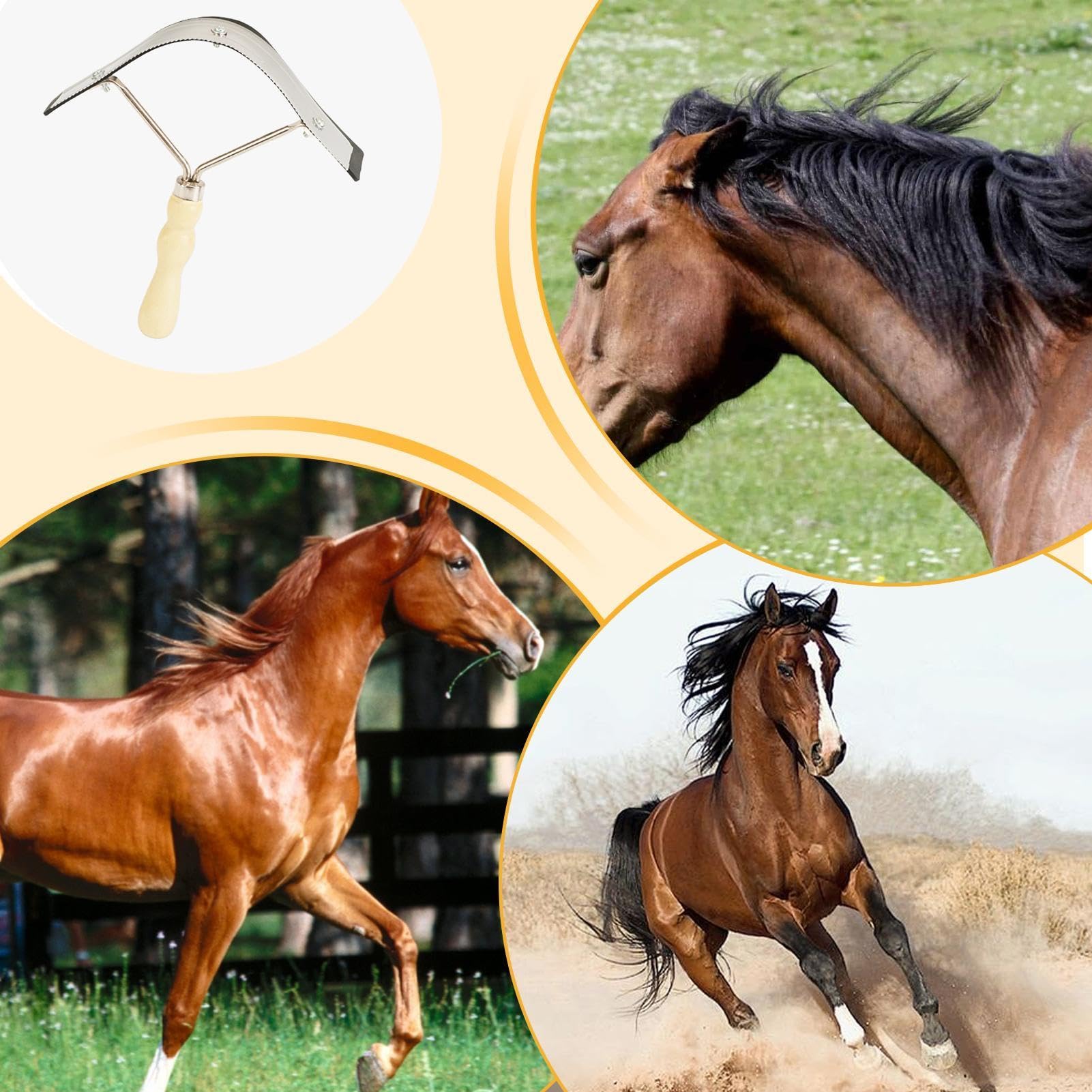Grattoir à sueur pour chevaux avec poignée, grattoir à eau en