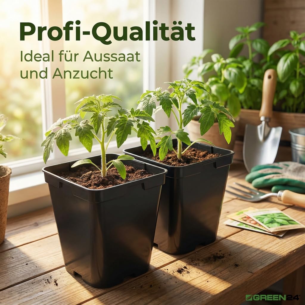 GREEN24 10 Stck. Pflanztöpfe 3 L (16,0 x 16,0 x 16,5 cm) große Vierecktöpfe Profi XL Anzuchttöpfe Pflanztöpfe Blumentöpfe Vierkant-Töpfe