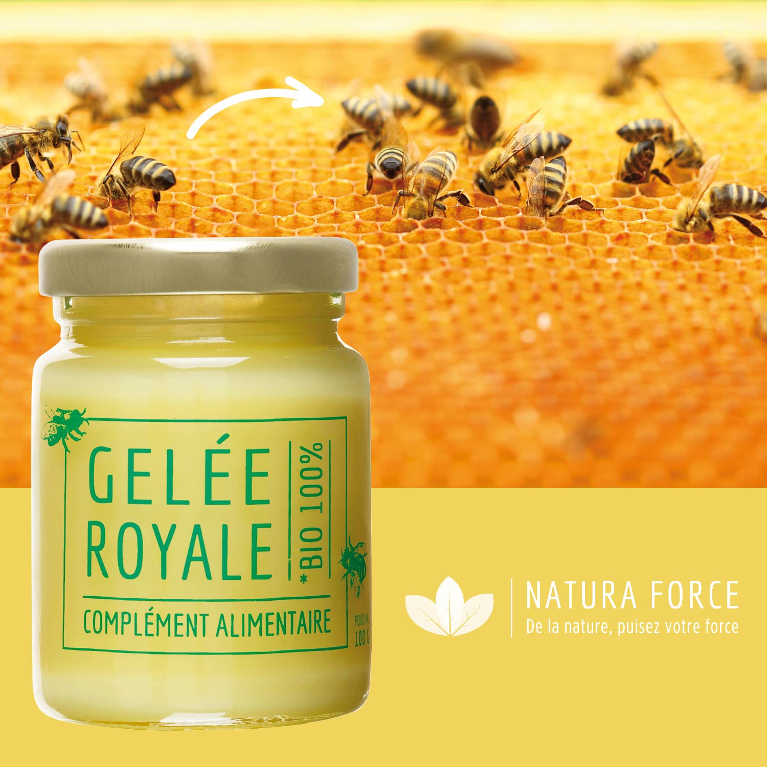 Gelée Royale Bio 100% Pure 100g - Complément Alimentaire Naturel - Énergie, Immunité, Vitalité - Riche en Vitamine B