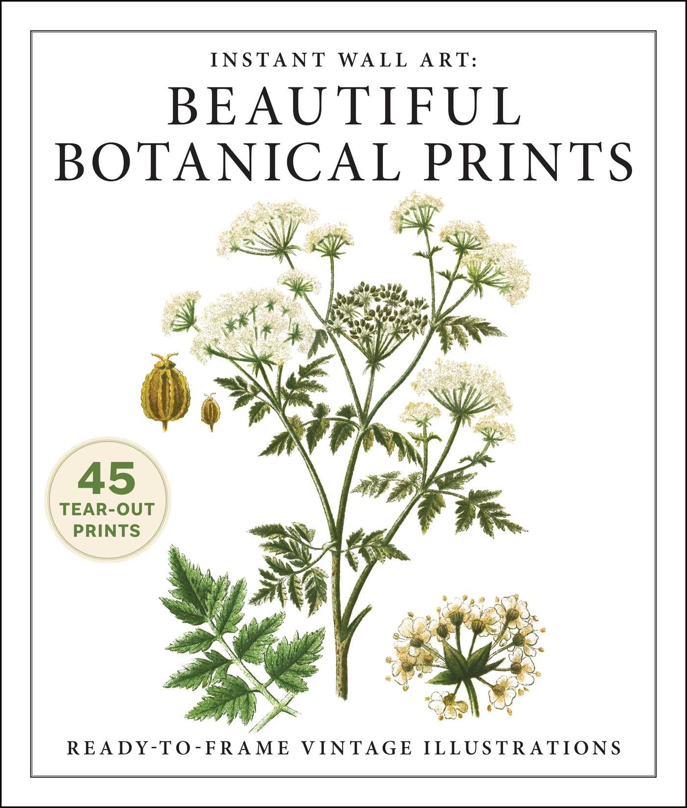 Instant Wall Art Beautiful Botanical Prints by Adams Media PAPERBACK