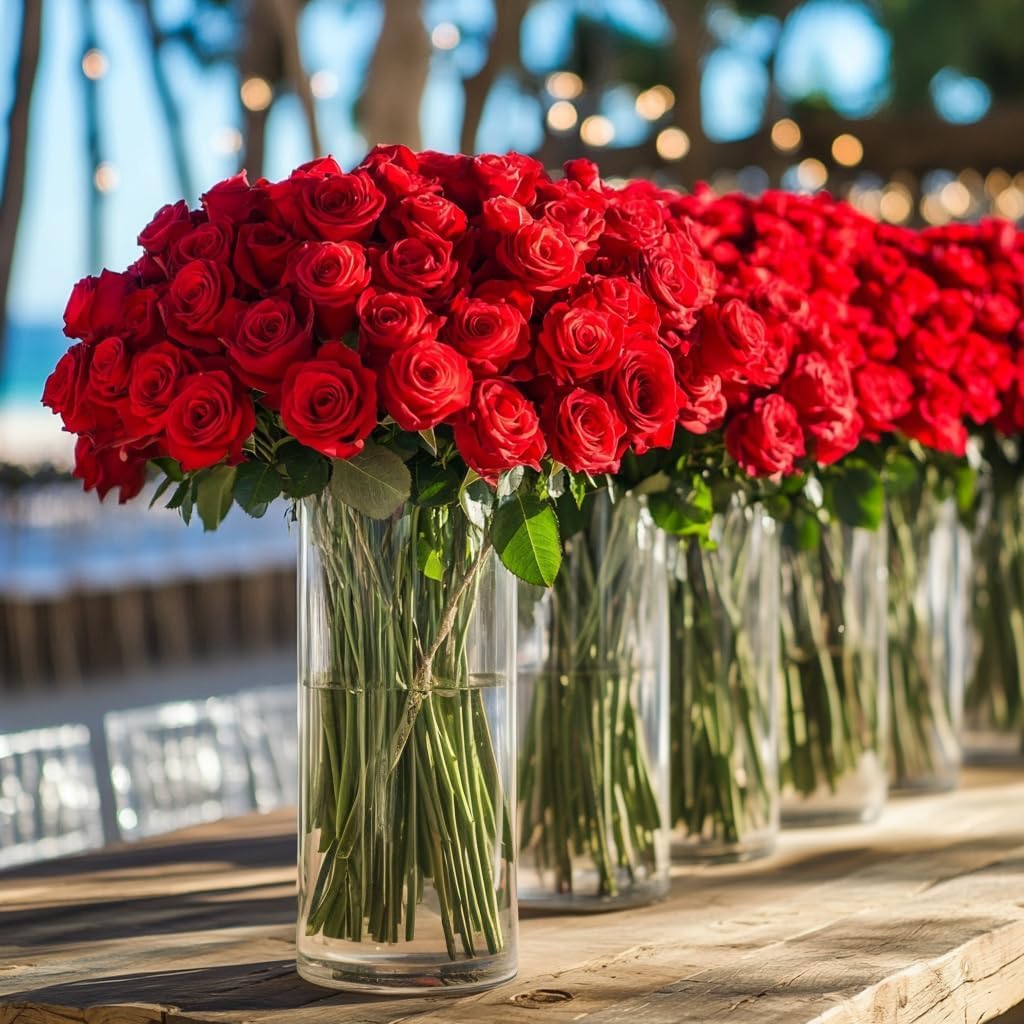 GlobalRose 200 Red Roses Bouquet - Responsibly Sourced Roses Fresh Flowers - Hand-Picked Flowers Fresh Bouquet for Valentine's Day, Birthday & Special Occasions (8 Bunches of 25 Stems)