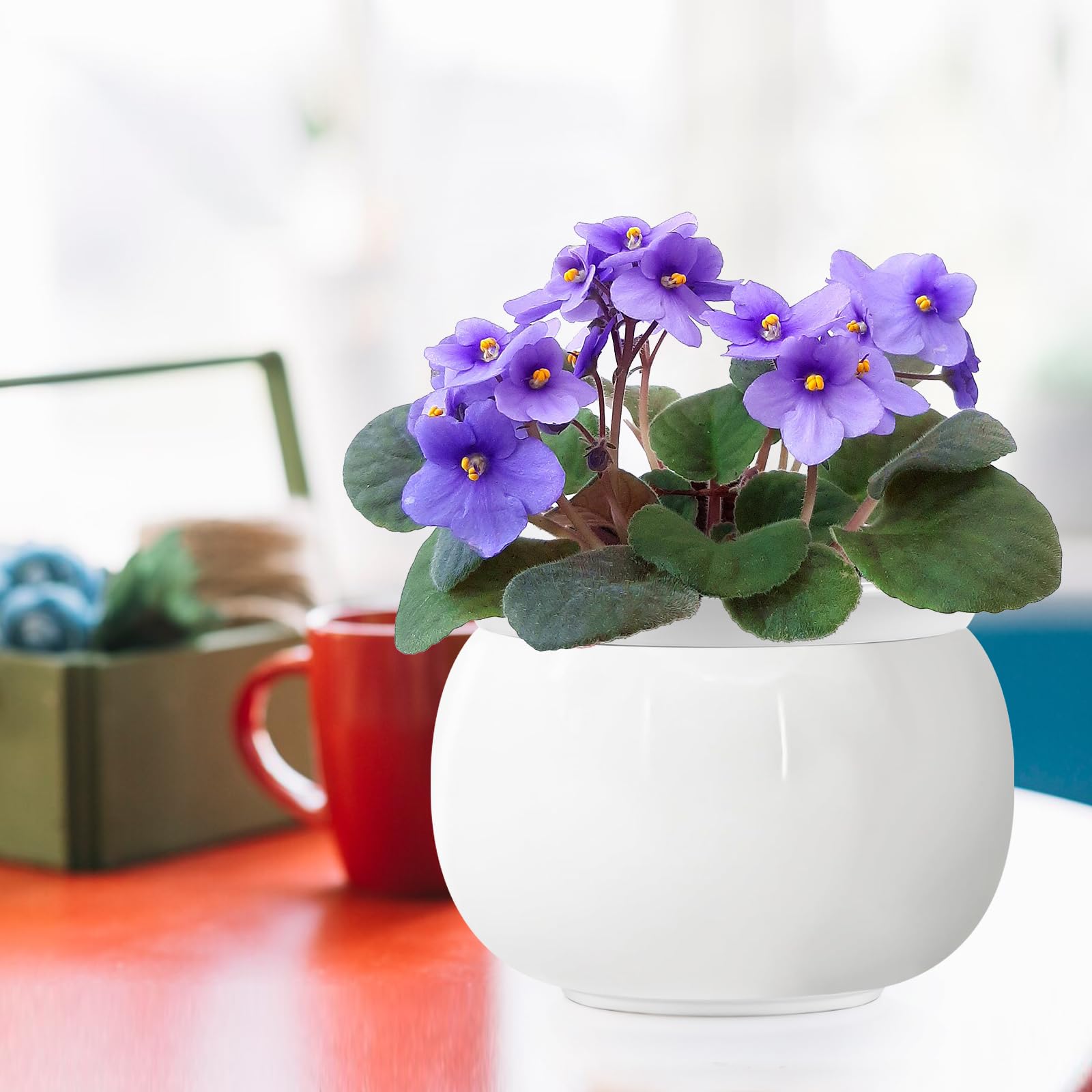 8 Inch Self-Watering Ceramic Pot For African Violets & Houseplants - White Pumpkin Design