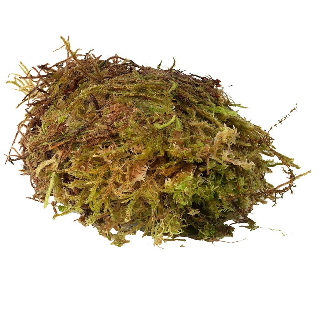 Habistat Sphagnum Moss (250)