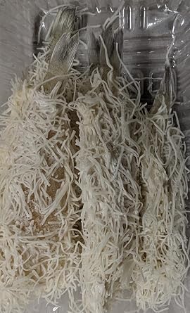 Frozen Kissing Bechamel Sauce Fried Kadaif 1P 24 Pcs Commercial Use