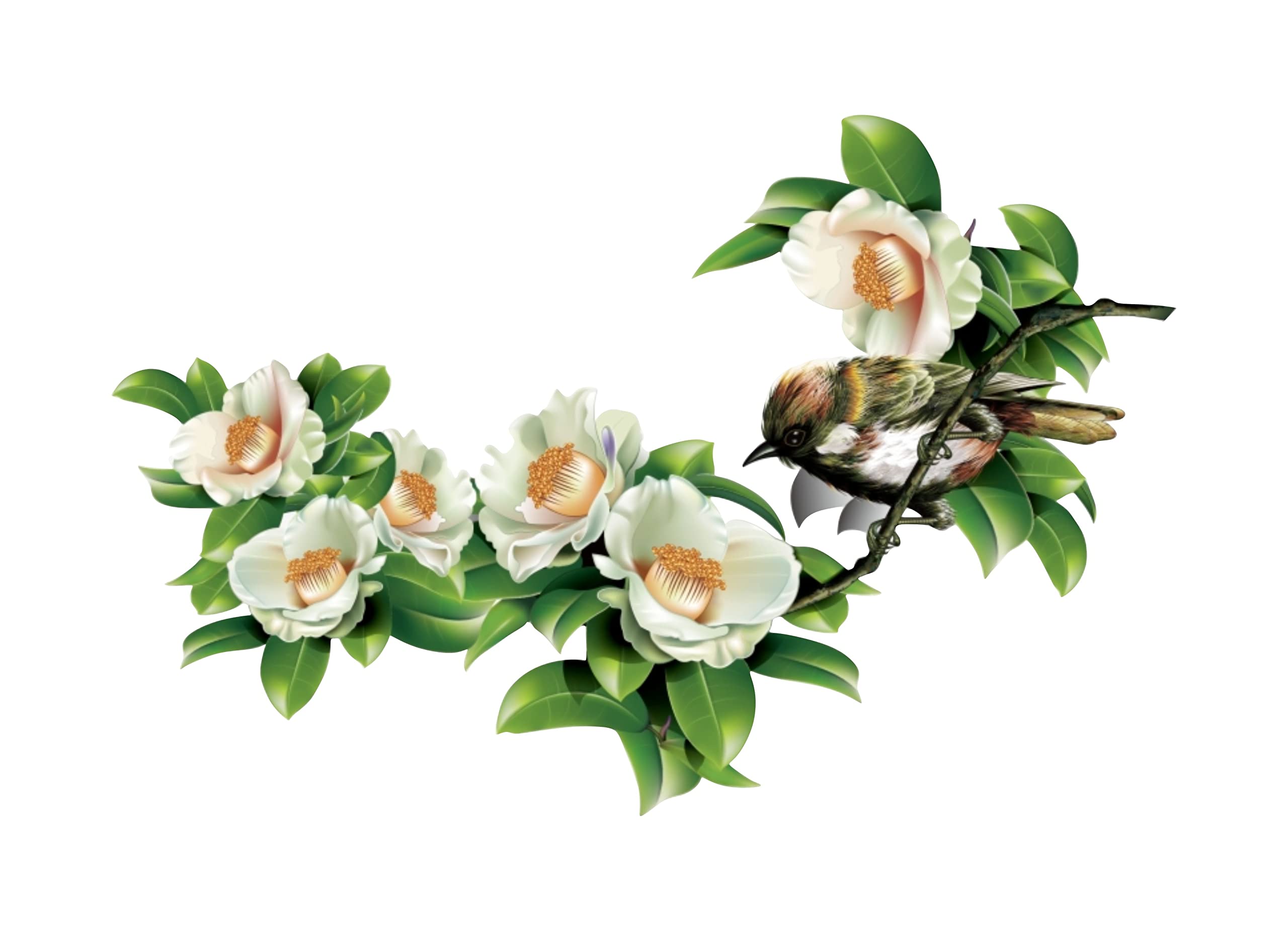 See full amazon price history chart for Dreamkraft Beautiful White Flower with Birds Wall Sticker for Home Decor, Drawing Room (Multicolor, PVC Vinyl 79 x 48cm) Dreamkraft Beautiful White Flower with Birds Wall Sticker for Home Decor, Drawing Room (Multicolor, PVC Vinyl 79 x 48cm) (B0BBB54K86) Amazon Price History, Amazon Price Tracker