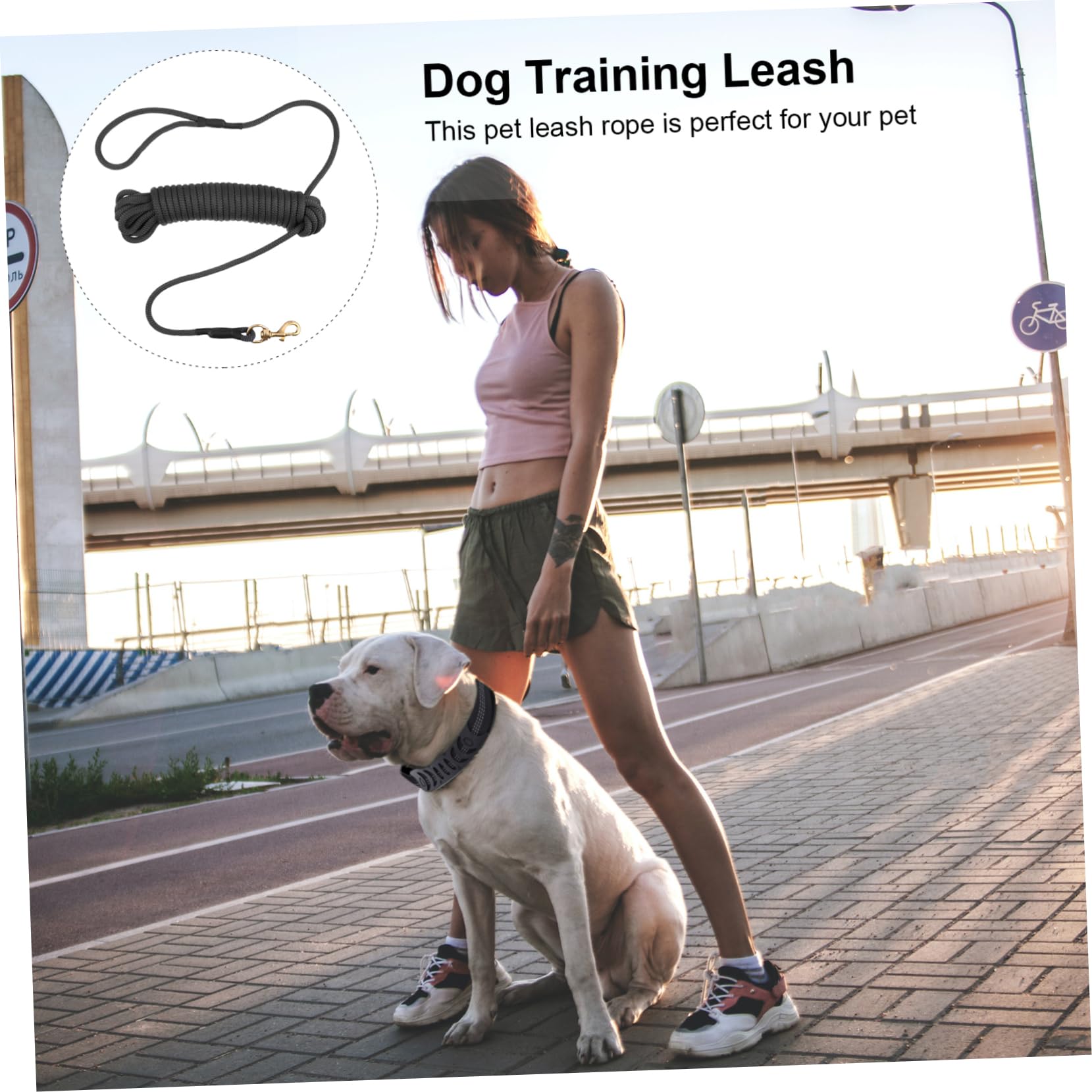 ibasenice Laisse pour Chien Longue de Adaptée pour Grands Chiens pour Promenades et Dressage Extérieur
