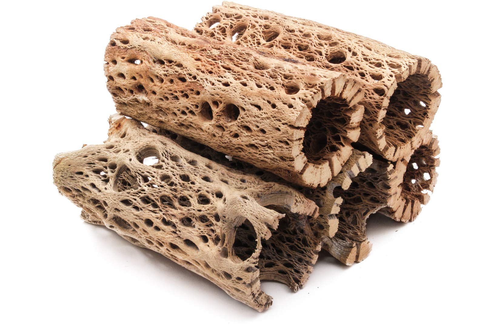 3 to 48 Inch All Natural Teddy Bear Cholla Wood Extra Hollow Large Untreated Organic Aquarium Driftwood Decoration Chew Toy Shrimp Crab Multi-Quantity (5 Pieces, 6 inch)