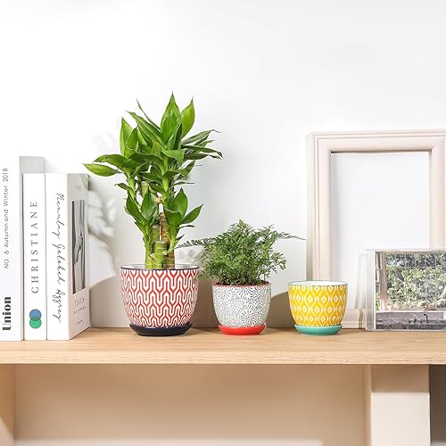 Miniatura 6 de Selamica Macetas de cerámica para suculentas con agujeros de drenaje, macetas pequeñas de 3.5 pulgadas para plantas de interior con platillos,