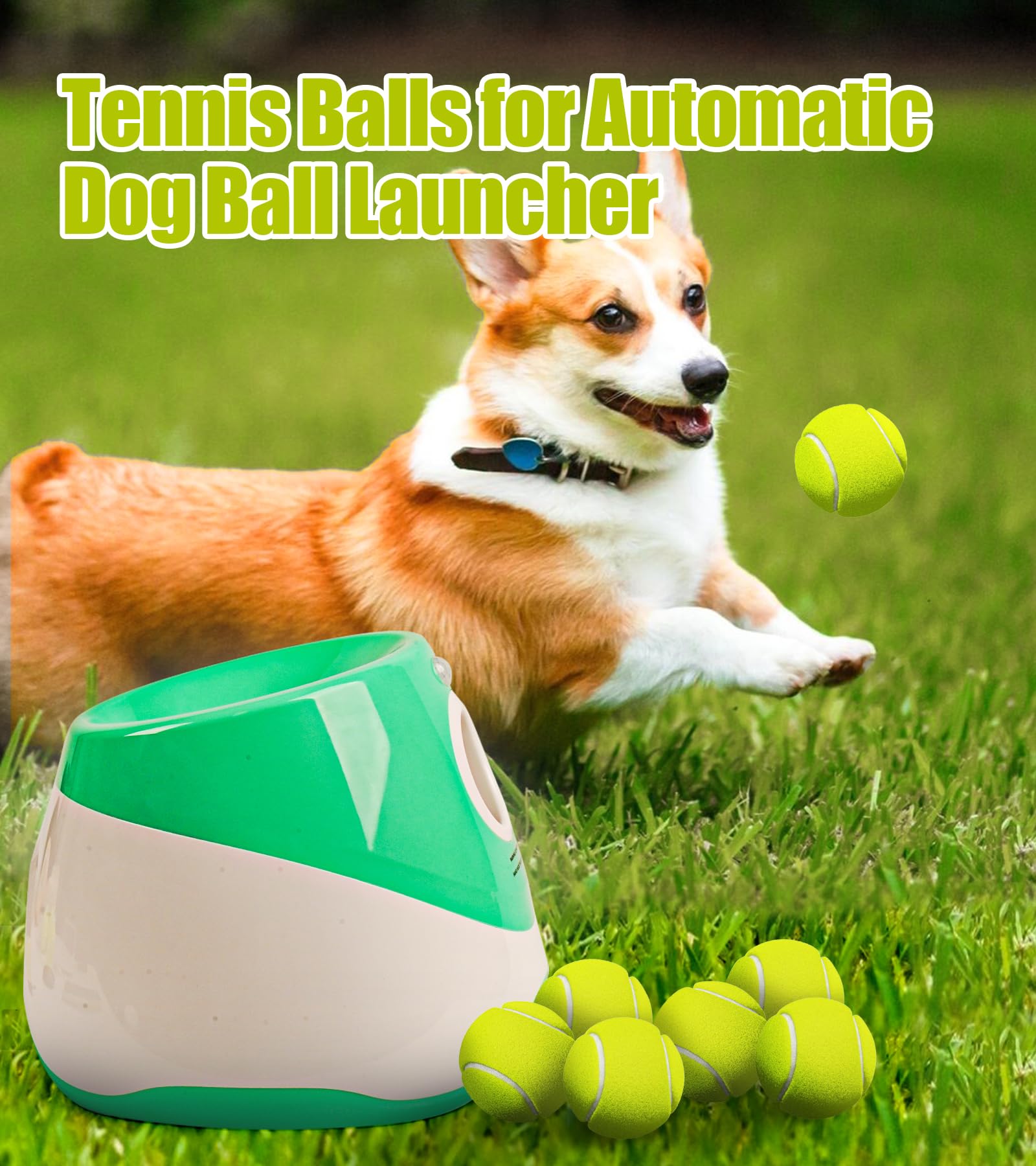 Piccole palline da tennis per cani, confezione da 10 palline per animali domestici facili da catturare per esercizi e recuperare, palline da tennis per cani da 5,1 cm, giocattoli interattivi