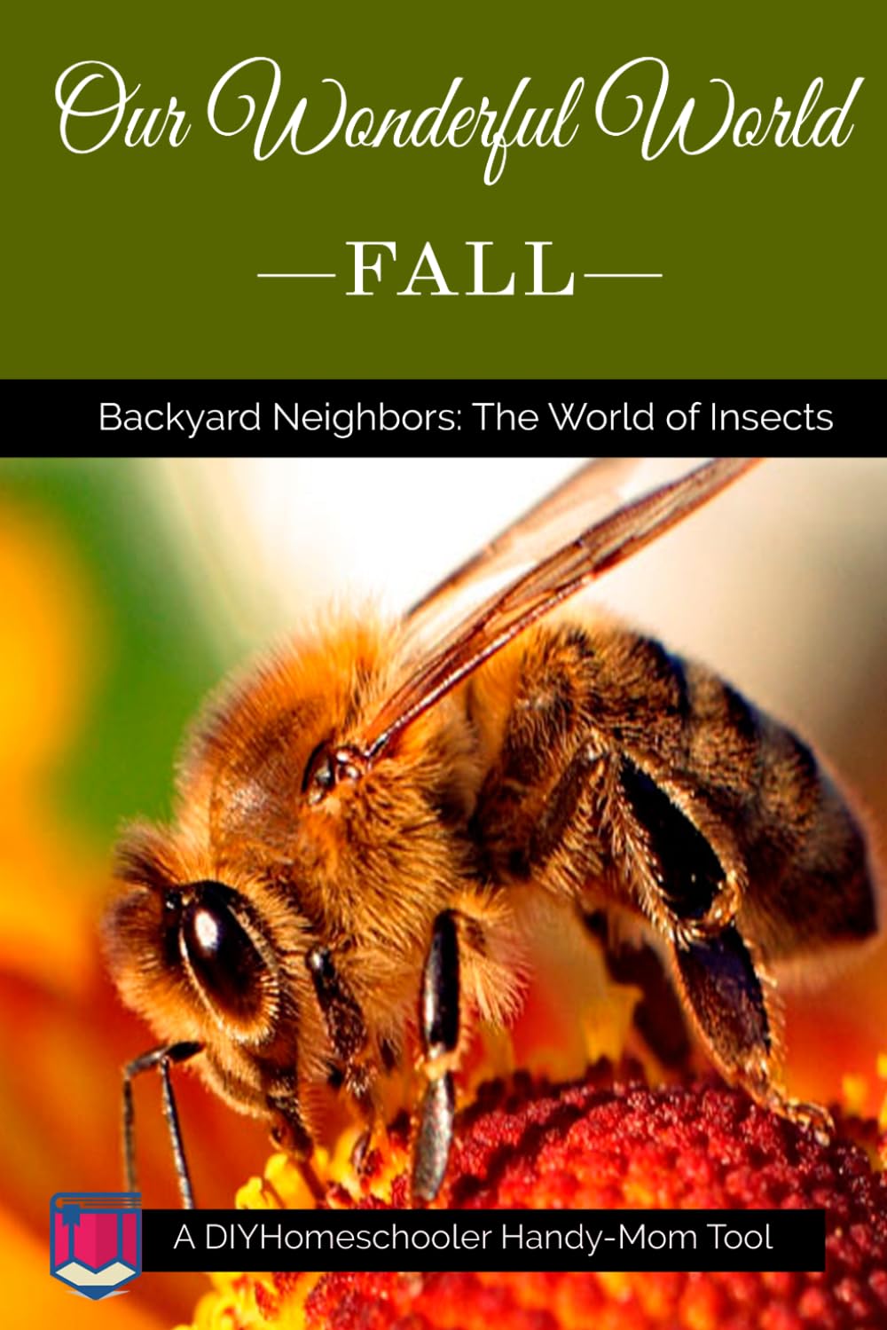 Our Wonderful World Fall: Backyard Neighbors—The World of Insects (DIYHomeschooler Handy-Mom Tools)