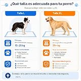 Ver la foto 6